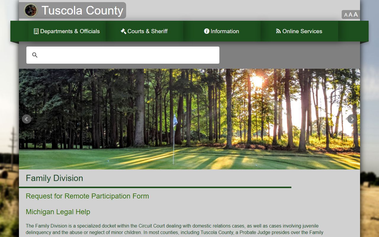 Tuscola County family and probate division records