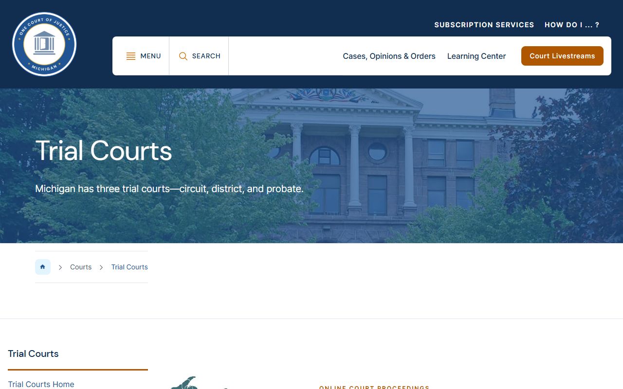 Tuscola County court dockets across Michigan circuit, district, and probate trial courts